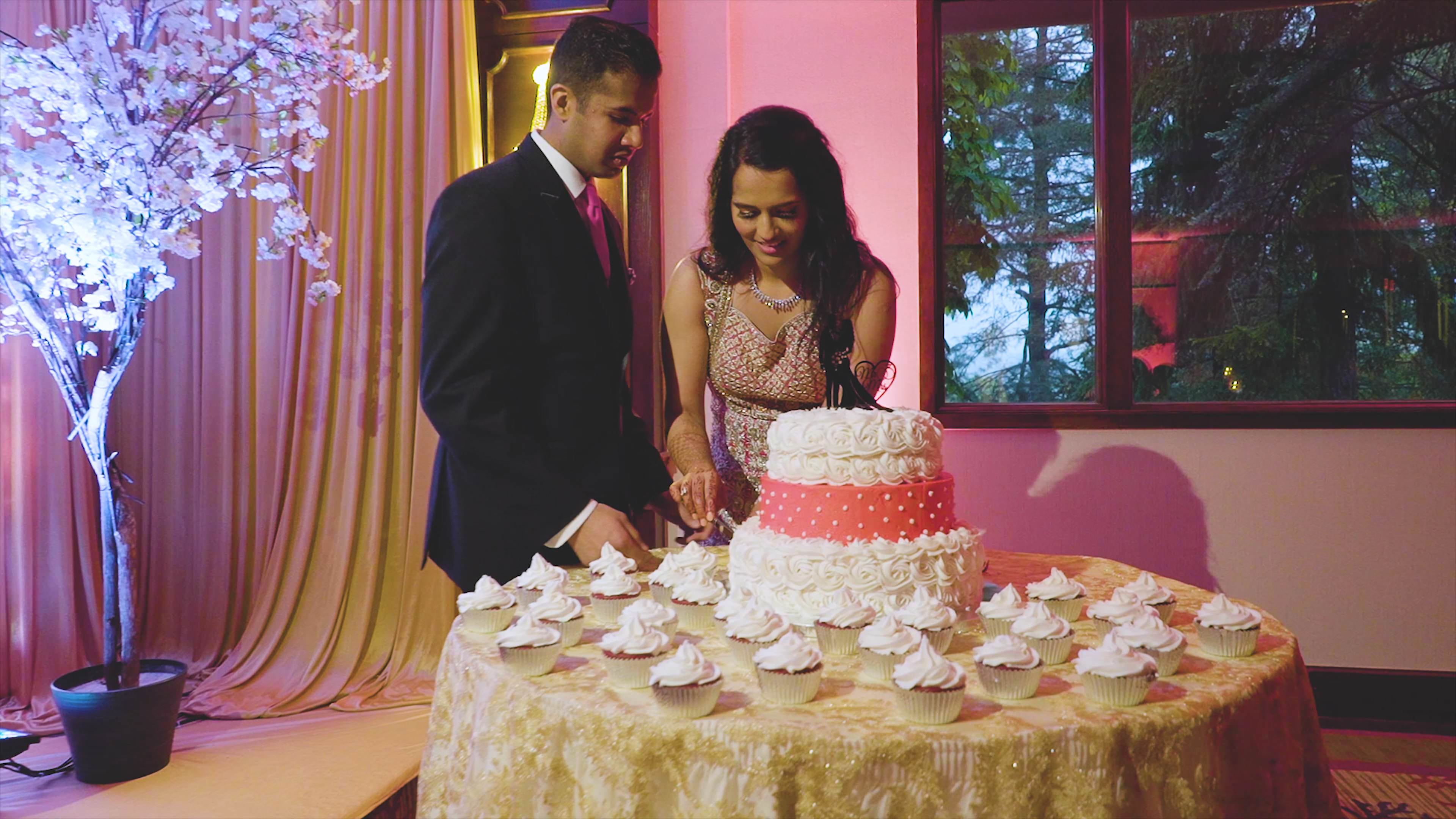 Martinsville Gardens Bridgewater NJ Wedding | Ruchi & Vishal | Cake Cutting
