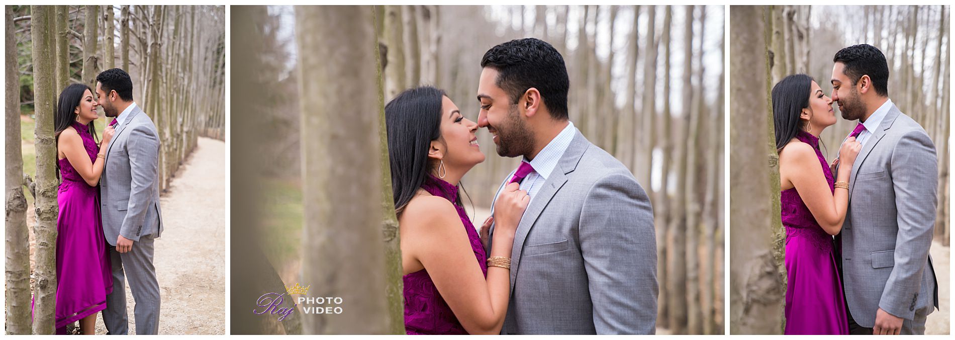 Grounds-for-Sculpture-Hamilton-NJ-Engagement-Shoot-Khushboo-Ruben-00004.jpg