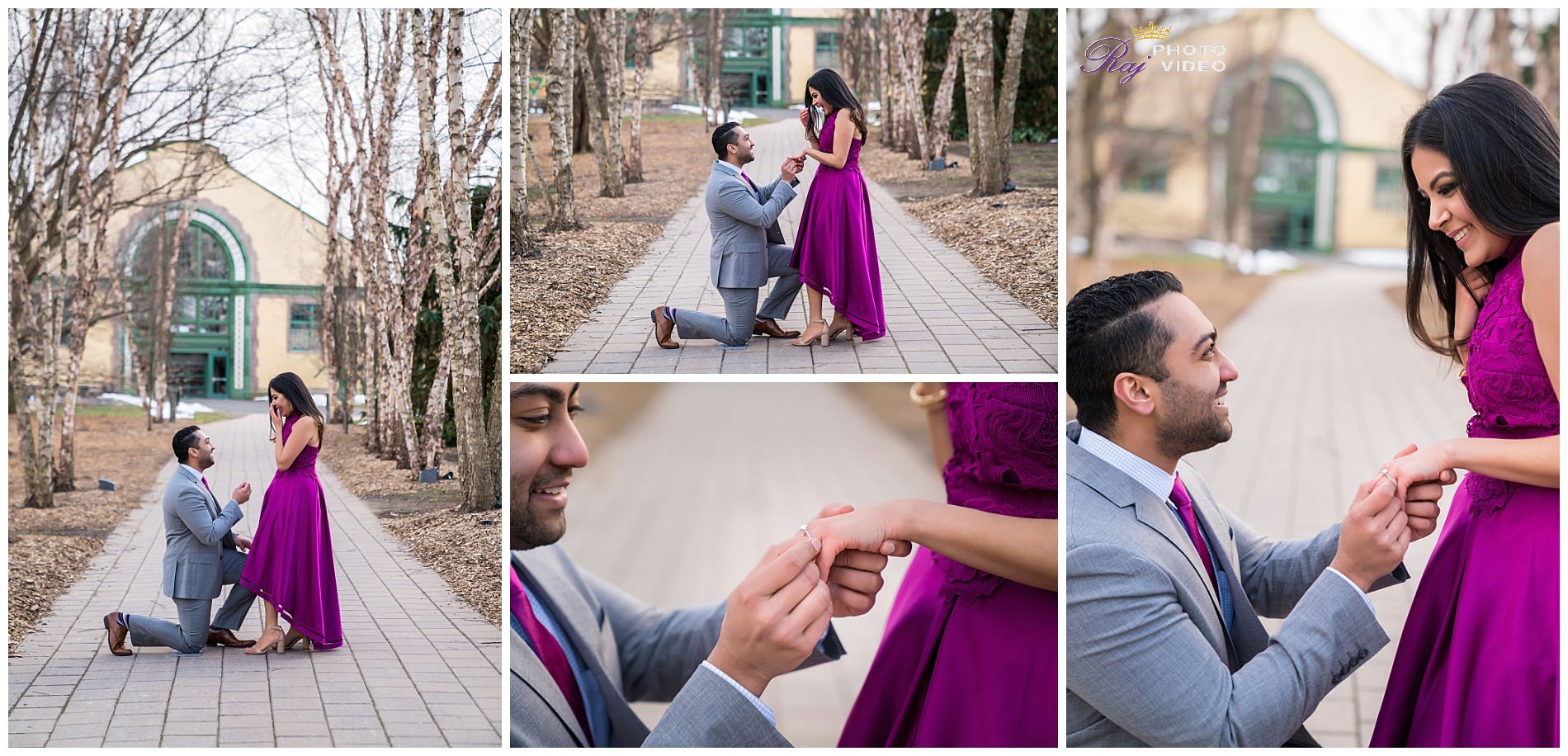 Grounds-for-Sculpture-Hamilton-NJ-Engagement-Shoot-Khushboo-Ruben-00012.jpg