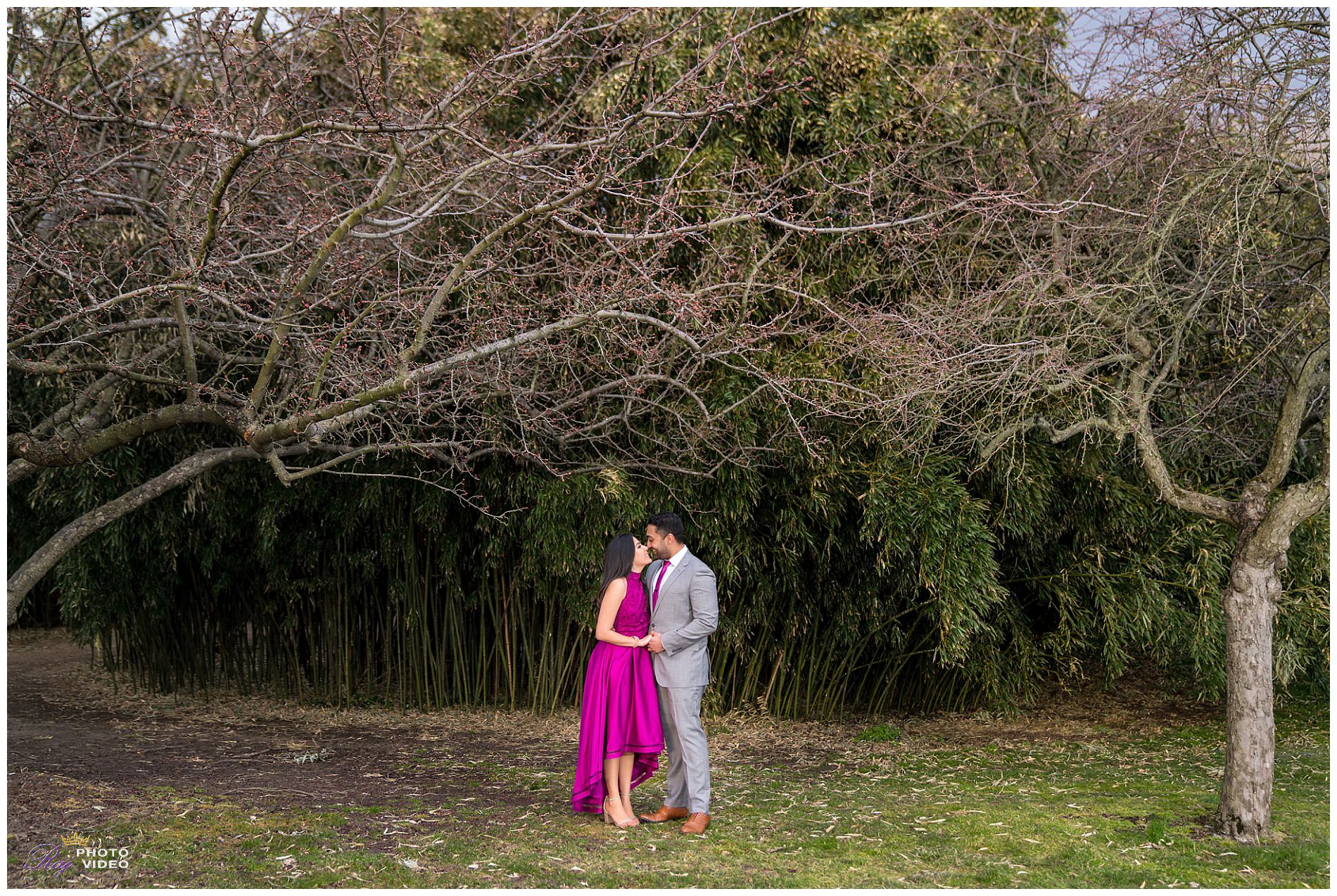 Grounds-for-Sculpture-Hamilton-NJ-Engagement-Shoot-Khushboo-Ruben-00016.jpg