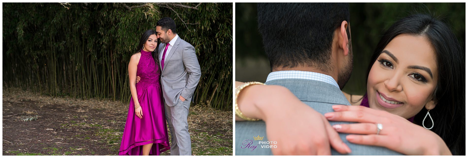 Grounds-for-Sculpture-Hamilton-NJ-Engagement-Shoot-Khushboo-Ruben-00017.jpg